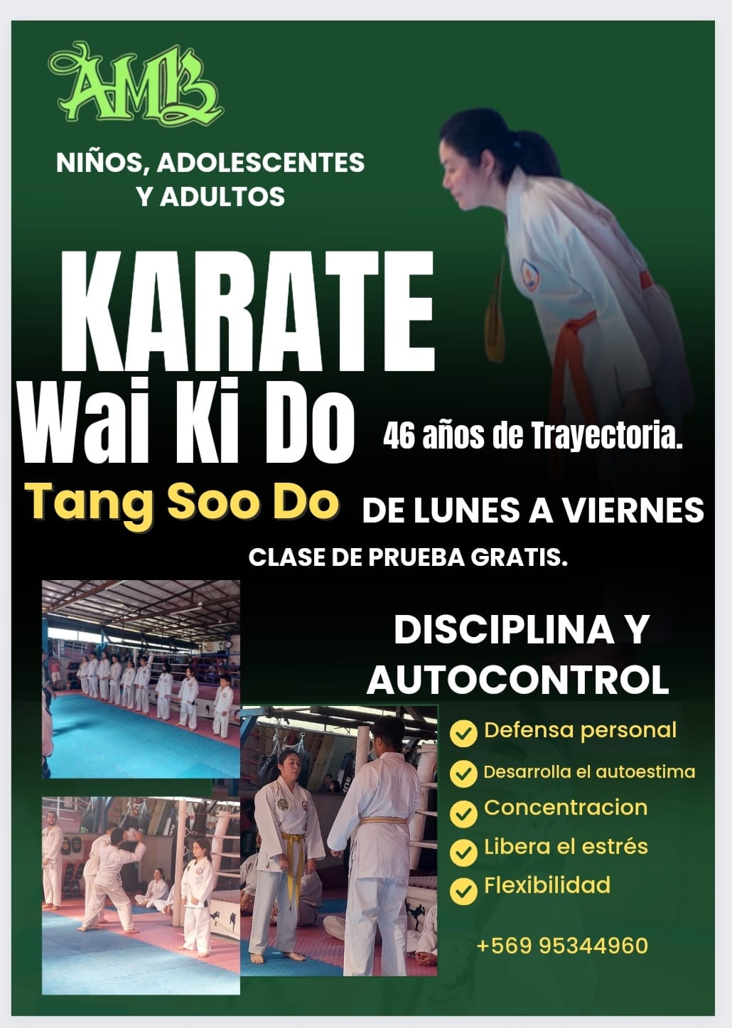 Promocion Karate